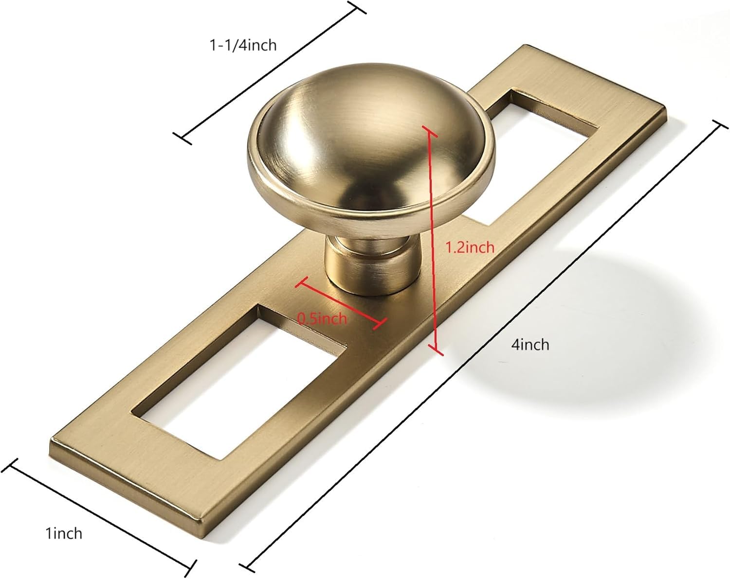 DESIGN27 Round Knob, Brushed Brass, DIA 1 - 1/4 in (32 mm), 2 Pack