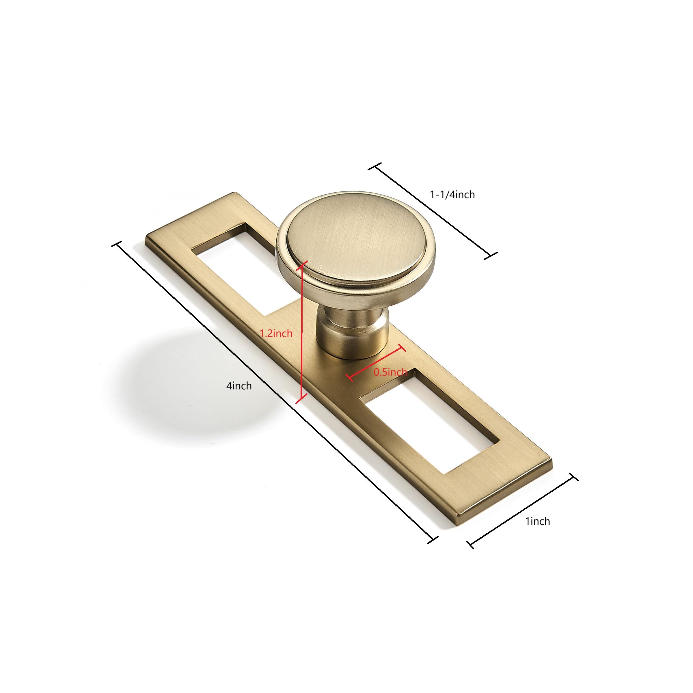DESIGN280 Round Knob, Brushed Brass, DIA 1 - 1/4 in (32 mm), 2 Pack