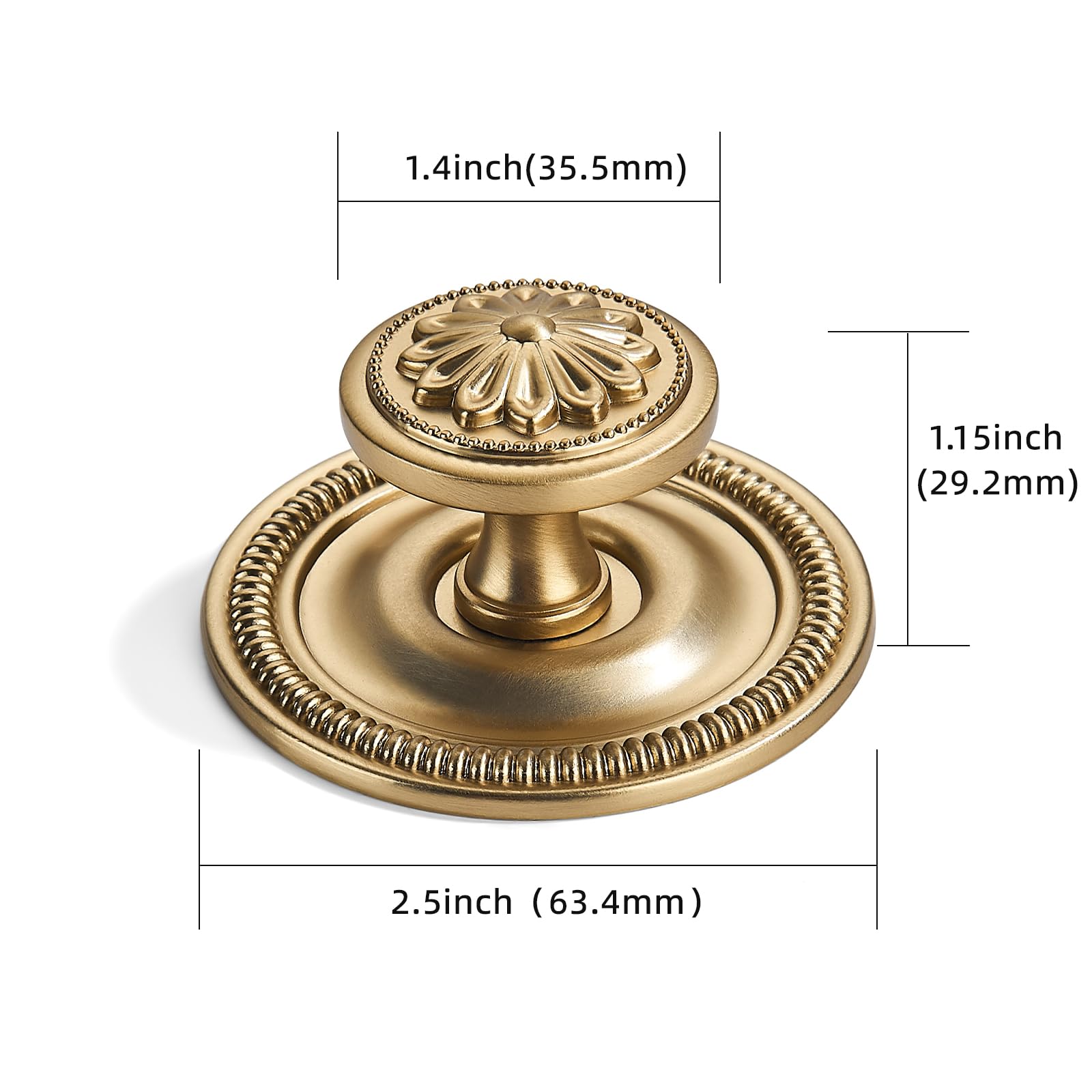 DESIGN321 Round Knob, Brushed Brass, DIA 2 - 1/2 in (64 mm), 2 Pack